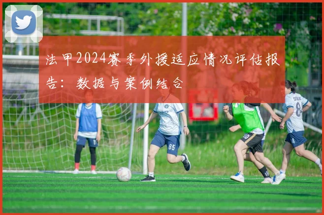 法甲2024赛季外援适应情况评估报告：数据与案例结合
