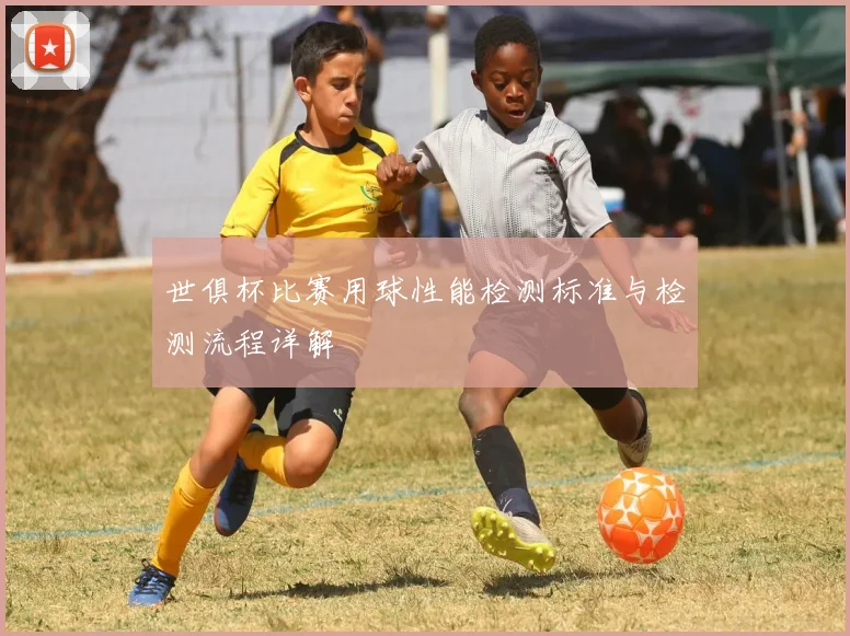 世俱杯比赛用球性能检测标准与检测流程详解