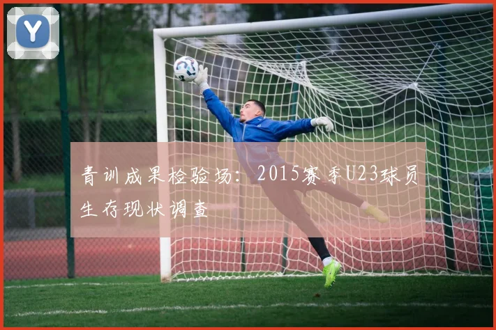 青训成果检验场：2015赛季U23球员生存现状调查